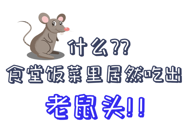 公共食堂又爆雷！饭菜吃出老鼠头？？看看球盟会(中国)新材怎么做......